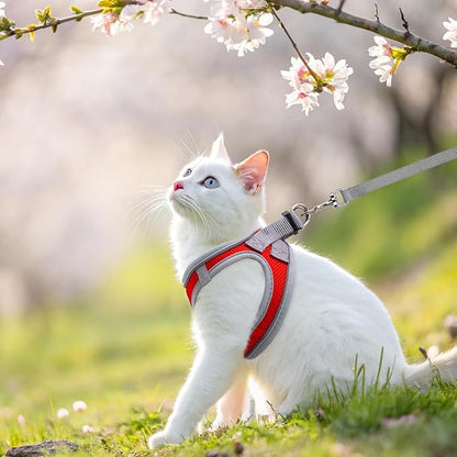 SCENEREAL Cat Harness and Leash Set Escape Proof, Adjustable Soft Air Mesh Kitten Harnesses for Girls Boys Small Medium Big Cats, Reflective Light Travel Pet Walking Vest for Puppy Rabbit, Red M