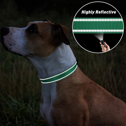 TagME Reflective Nylon Dog Collars, Adjustable Classic Pet Collar with Quick Release Buckle for Small Dogs, Turquoise, 3/4" Width
