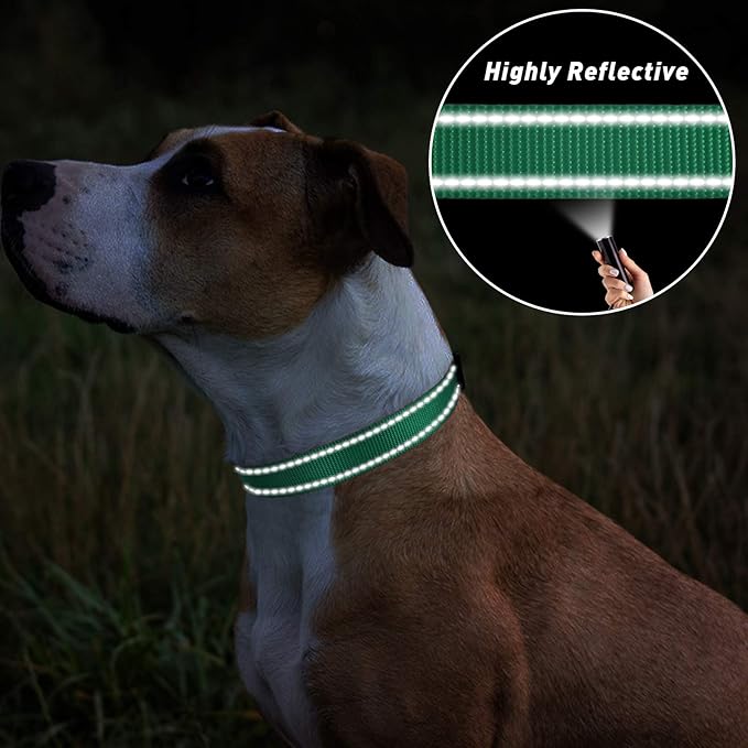 TagME Reflective Nylon Dog Collars, Adjustable Classic Pet Collar with Quick Release Buckle for Large Dogs, Turquoise, 1.0" Width