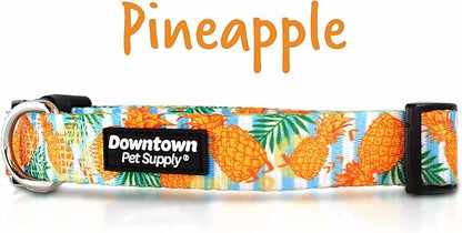 Downtown Pet Supply - Best & Fancy Dog Collar - Lightweight Adjustable with Quick Buckle & D-Ring - Hand Wash Safe - Pineapple - Large
