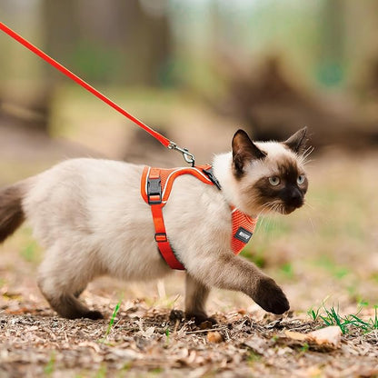 Cat Harness and Leash for Walking Escape Proof Soft Adjustable Cat Leash Breathable Comfortable Vest Easy to Wear Kitten Harness for Outdoor Travel, Orange, S