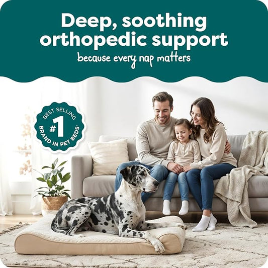 FurHaven Orthopedic Dog Bed for Large Dogs, Luxe Lounger Contour Mattress with Solid Orthopedic Foam Slab for Joint Support, Removable Washable Cover - Jumbo Plus XXL, Plush Suede, Cream