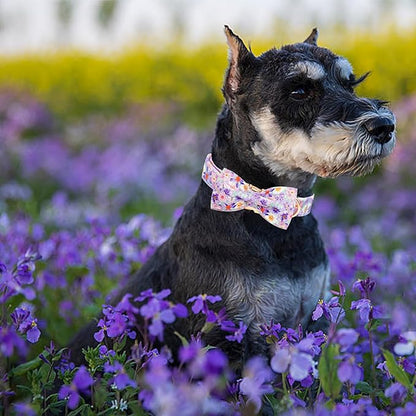 Elegant little tail Dog Collar, Rose Print Pet Collar Summer Dog Collar Durable Metal Buckle Dog Collars Cotton Pet Adjustable Dog Collars for X-Small Dogs