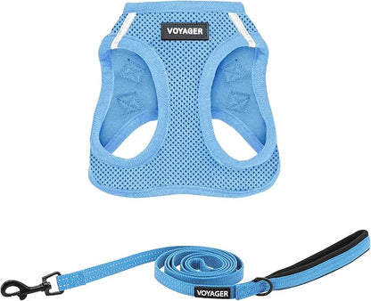 Best Pet Supplies Voyager Step-in Air All Weather Mesh Harness and Reflective Dog 5 ft Leash Combo with Neoprene Handle, for Small, Medium and Large Breed Puppies - Set (Baby Blue), XS