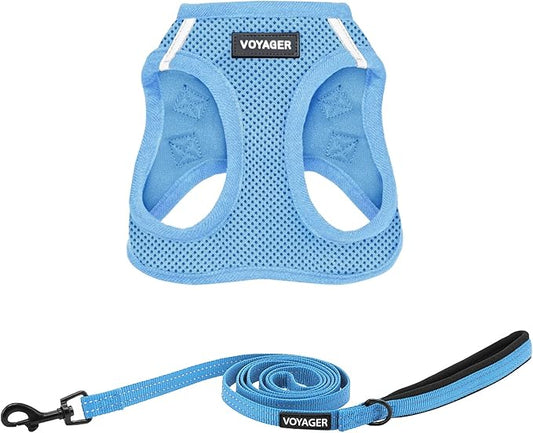 Best Pet Supplies Voyager Step-in Air All Weather Mesh Harness and Reflective Dog 5 ft Leash Combo with Neoprene Handle, for Small, Medium and Large Breed Puppies - Set (Baby Blue), XS