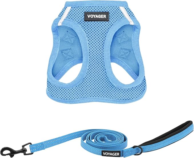 Best Pet Supplies Voyager Step-in Air All Weather Mesh Harness and Reflective Dog 5 ft Leash Combo with Neoprene Handle, for Small, Medium and Large Breed Puppies - Set (Baby Blue), S