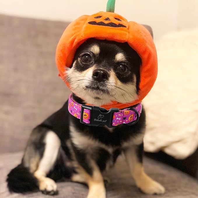 Halloween Dog Collar, Cute Pumpkin Bat Pattern Halloween Purple Puppy Collar, Soft Adjustable Cotton Dog Collars for Small Medium Large Boy&Girl Dogs L