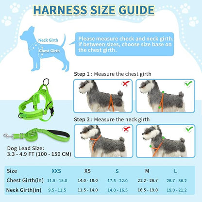 SlowTon No Pull Small Dog Harness and Leash Set, Puppy Soft Vest Harness Neck & Chest Adjustable, Reflective Lightweight Harness & Anti-Twist Pet Lead Combo for Small Medium Dogs (G-Front Clip,XXS)