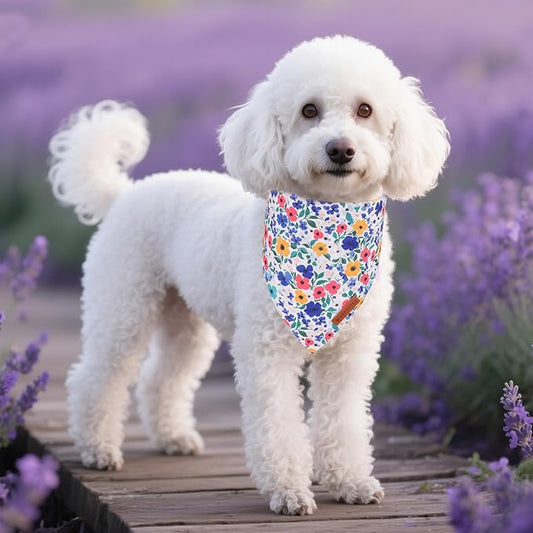 ADOGGYGO Floral Dog Bandanas 2 Pack, Reversible Cute Flower Scarf, Premium Fabric, Adjustable Fit Pink Blue Floral Bandanas for Small Dogs (Small)