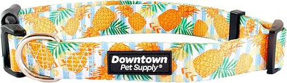 Downtown Pet Supply - Best & Fancy Dog Collar - Lightweight Adjustable with Quick Buckle & D-Ring - Hand Wash Safe - Pineapple - M - Medium