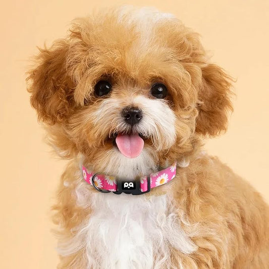 QQPETS Adjustable Soft Dog Collar: Print Flower Pink Multicolor Cute Patterns for XS Small Medium Large Pet Girl Boy Puppy Walking Running Training (XS, Small Daisies)