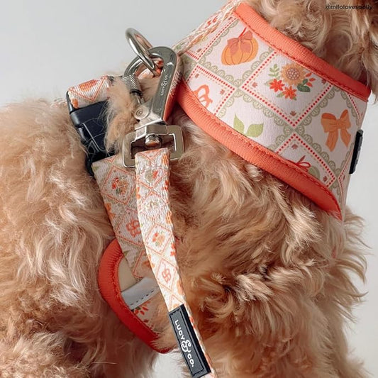 Lucy & Co. Cute Reversible Dog Harness Walking Halter - Best Designer Pet Harnesses for XS - XL Dogs - Padded Adjustable Vest for Easy Walking-Large-Orange Cream Pumpkin