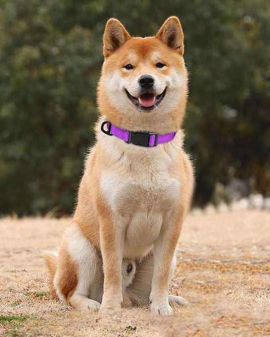 TagME Reflective Nylon Dog Collars, Adjustable Classic Pet Collar with Quick Release Buckle for Medium Dogs, Purple, 1.0" Width