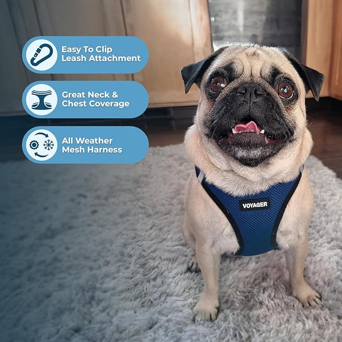 Best Pet Supplies Voyager Step-in Air All Weather Mesh Harness and Reflective Dog 5 ft Leash Combo with Neoprene Handle, for Small, Medium and Large Breed Puppies - Blue/Black Trim, X-Large