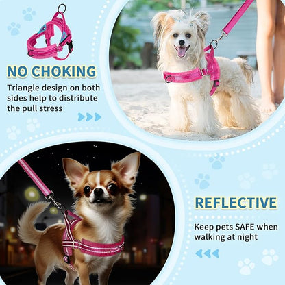SlowTon No Pull Small Dog Harness and Leash Set, Puppy Soft Vest Harness Neck & Chest Adjustable, Reflective Lightweight Harness & Anti-Twist Pet Lead Combo for Small Medium Dogs (Fuchsia, S)
