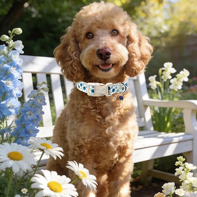 Spring/Summer Dog Collar for Medium Dogs - Fresh Blueberry Girl Boy Dog Collars, Soft Lightweight Puppy Collar, Breathable Adjustable Male Female Fruit Floral Dogs Collars M