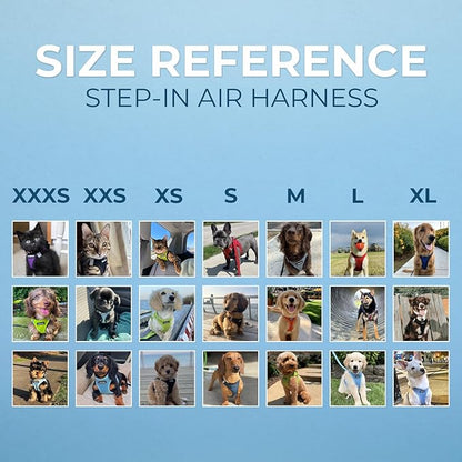 Best Pet Supplies Voyager Step-in Air Harness - All Weather Mesh, Reflective, No Pull Harness for Dogs, Cats - Secure with Hook & Loop Fastener, Buckle, Double D-Rings - Blue, XXXS