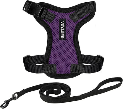 Voyager Escape-Proof Step-in Lock Cat Harness & 5ft Neoprene-Handle Leash Set All-Weather Mesh with Reflective Stitching for Small to Large Cats by Best Pet Supplies, Purple/Black Trim, S