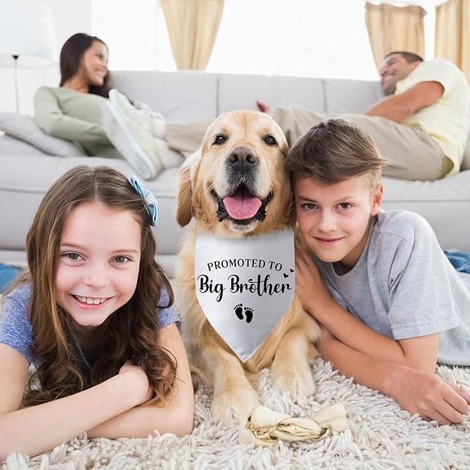 Promoted to Big Brother Pregnancy Announcement Dog Bandana Baby Announcement Photo Props Dog Scarf Accessories Big Brother Bandana for Dogs