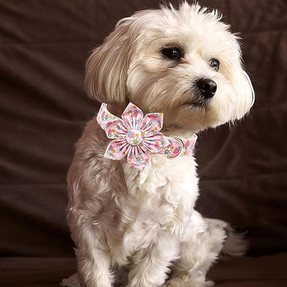Lionheart glory Dog Collar Flower Collar Pink Dog Collar with Flower Spring Summer Cute Collar Dog Female Soft Durable Adjustable Dog Collars for Medium Dogs, B:Strawberries