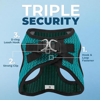 Best Pet Supplies - All Weather Mesh/Plush, Reflective, No Pull Harness for Small, Medium Dogs, Cats - Secure with Hook & Loop Fastener, Buckle, Double D-Rings - Turquoise 2-Tone, L