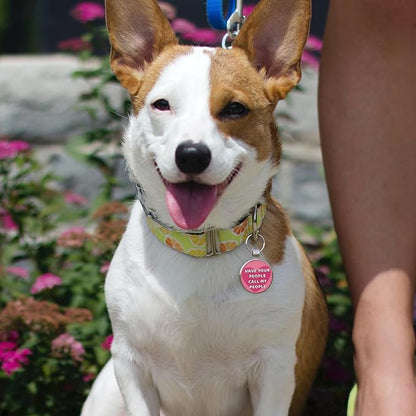 MYLUCKYTAG QR Code Pet ID | Personalized Dog & Cat Collar Tag | Online Profile with Instant Scanned Location Alert Email