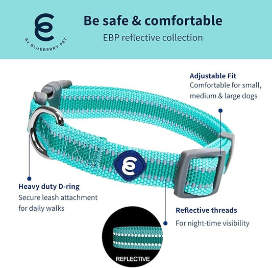 Blueberry Pet Essentials Matching Large Dog Collar | Adjustable Classic Solid Color Nylon Dog Collars for Large Dogs | Reflective Rouge Red Dog Collar for Large Dogs