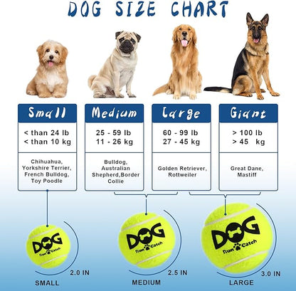 Squeaky Tennis Balls for Dogs - 12 Pack 2.5'' Durable Non-Toxic Outdoor Dog Toys Balls with Mesh Bag, SGS Certified, Colorful Fetch Toys, Medium Large Breeds