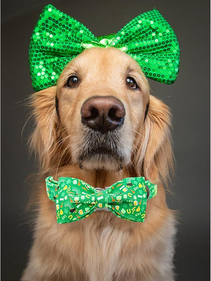 Lionheart glory Dog Bow Collar St. Patrick's Day Dog Collar for Small Dogs, Adjustable Green Collars Lucky Clover Shamrock Dog Collar with Bowtie Pet Collar Bows