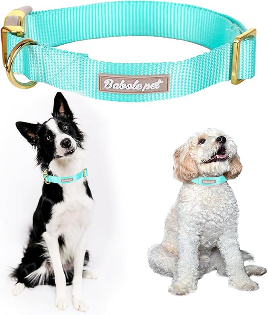 Nylon Dog Collar - Adjustable Lake Blue Soft Webbing Dog Collars for Small Medium Large Dogs Boy Girl Puppy Collar with Safety Metal Buckle M