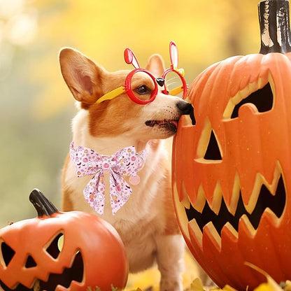 Halloween Dog Collar with Pink Floral Bowtie, Premium Cotton, Sturdy Metal Buckle, S Size for Small Dogs