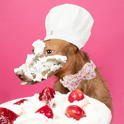 Lionheart glory Dog Collar Bow Collar Pink Dog Collar with Bow Tie Spring Summer Cute Collar Dog Female Soft Durable Adjustable Dog Collars for Small Dogs Pet Gift