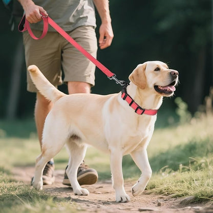 Joytale Reflective Dog Collar, Soft Neoprene Padded, Metal D-Ring, Nylon Pet Collar Adjustable for Extra Large Dogs, Neon Pink, XL