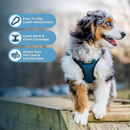 Voyager Step-in Pet Harness - All Weather Mesh, Adjustable Step in Harness for Cats and Dogs by Best Pet Supplies - Turquoise/Black Trim, XL