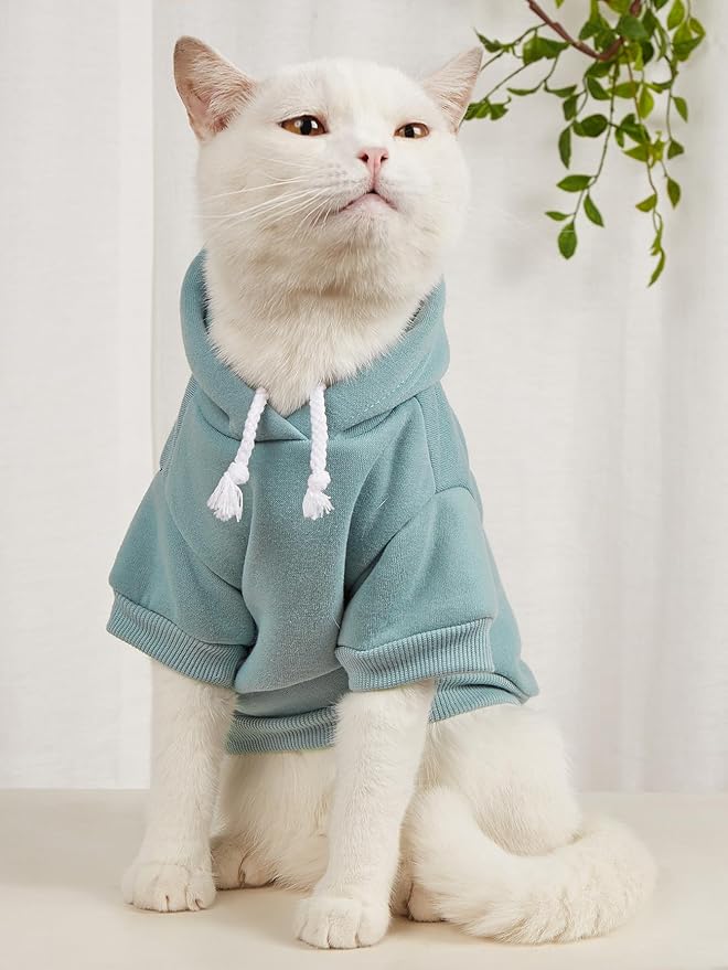 QWINEE Basic Dog Hoodie Sweatshirt Puppy Sweater Warm Cat Costumes Pet Clothes for Chihuahua Puppy Kitten Small Medium Dogs Black Green and Grey Large