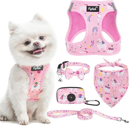 PUPTECK Adjustable Dog Harness Collar and Leash Set, Step in No Pull Pet Harness for Small Medium Dogs Puppy Cats Outdoor Walking, Soft Mesh Padded Reflective Vest Harnesses, Light Pink Alpaca, S