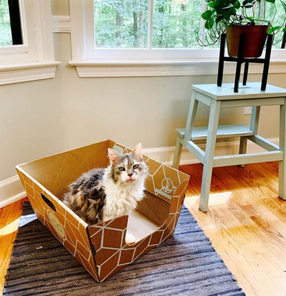 Tallest Disposable Cat Litter Box 15 Trays 2 Trays Litter Box Low Entry Original Patented Indentical Design19 Lx17 Wx8.5 17 in. Closed Box. Woman Lifelong Cat Care Sassy Uses Daily 14 yrs Made-US