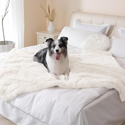 gogobunny Waterproof Dog Blanket for Couch & Furniture Protection - Super Soft Reversible Throw for Large Dogs & Cats, Calming Washable Fur & Sherpa Pet Blanket (40x50 Inch, Cream)