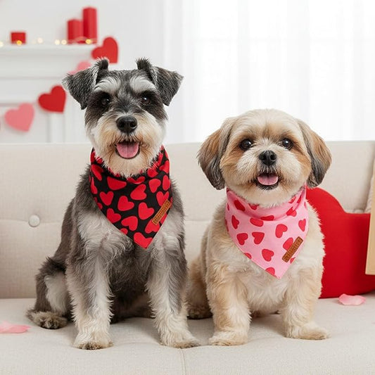 ADOGGYGO Valentine Dog Bandana 2 Pack, Reversible Red Pink Heart Puppy Scarf Bib, Adjustable Fit Valentine Bandanas for Small Dogs Pets (Small)