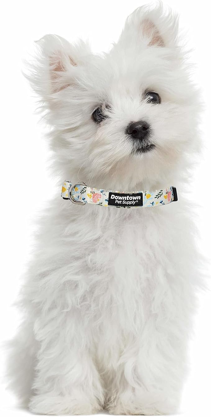 Downtown Pet Supply - Best, Cute & Fancy Dog Collar - Lightweight Adjustable Dog Collar with Quick Buckle & D-Ring - Hand Wash Safe - Floral - S - Small Dog Collar