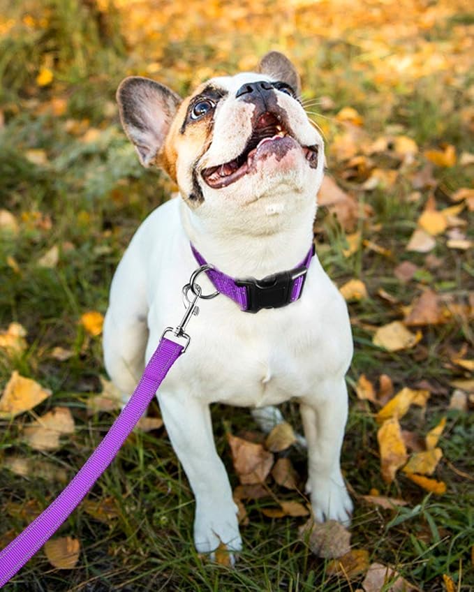 Reflective Dog Collar with Buckle Adjustable Safety Nylon Collars for Small Medium Large Dogs, Purple XL