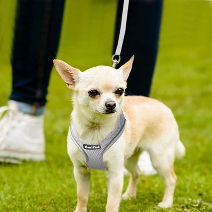 PetiFine Step in Small Dog Harness and Leash Set, Breathable All Weather Air Mesh Reflective Escape Proof, Step-in Vest Harnesses for Puppy(XS, Grey)