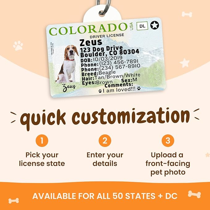 PawFurEver Personalized Dog Driver License ID Tag for Dogs & Cats - Custom Pet License Dog ID Tags Personalized Heavy Duty with Name, Photo & Phone Number, 50 States + DC (Florida, Tag)