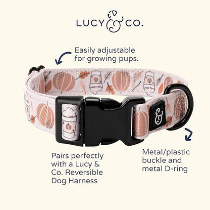 Lucy & Co. Awesomely Autumn Dog Collar - Durable Lightweight Designer Collar for Pets - Adjustable Metal Safety Buckle (Large, White & Orange Pumpkins)