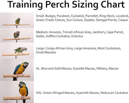 Parrot Training Perch Stand with Potty Tray (T Perch Hardwood, Small)