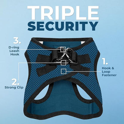 Best Pet Supplies Voyager Step-in Air All Weather Mesh Harness and Reflective Dog 5 ft Leash Combo with Neoprene Handle, for Small, Medium and Large Breed Puppies - Blue/Black Trim, Small