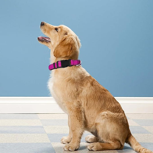 Reflective Dog Collar, Adjustable Soft Neoprene Padded Nylon Pet Collars with Buckle for Extra Large Dogs, Rose Red,XL