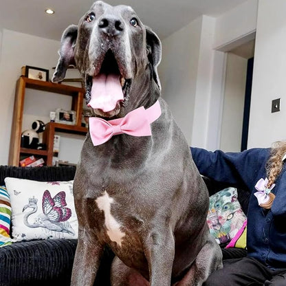 Segarty Dog Bow Ties for Large Dogs Neck Girth 16.5-21.3in, Adjustable Pink Bowtie Collar Neck Tie Tuxedo Comfortable Cotton Girl Pets Bows Grooming Accessory for Formal Wedding Holiday Birthday Party