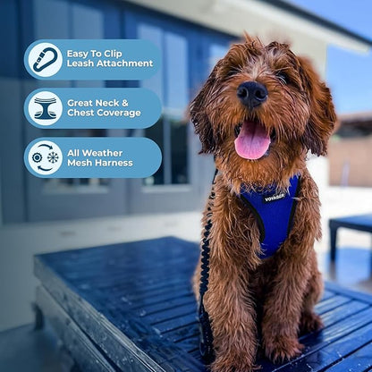 Best Pet Supplies Voyager Step-in Air Harness - All Weather Mesh, Reflective, No Pull Harness for Dogs, Cats - Secure with Hook & Loop Fastener, Buckle, Double D-Rings - Royal Blue/Black Trim, XL