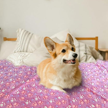 Dog Blankets for Medium Large Dogs Washable, 3 Pack Pet Blanket Washable 41" x 31", Fuzzy Soft Puppy Throw Cover for Kennel Crate Bed